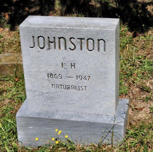 I.H. Johnston