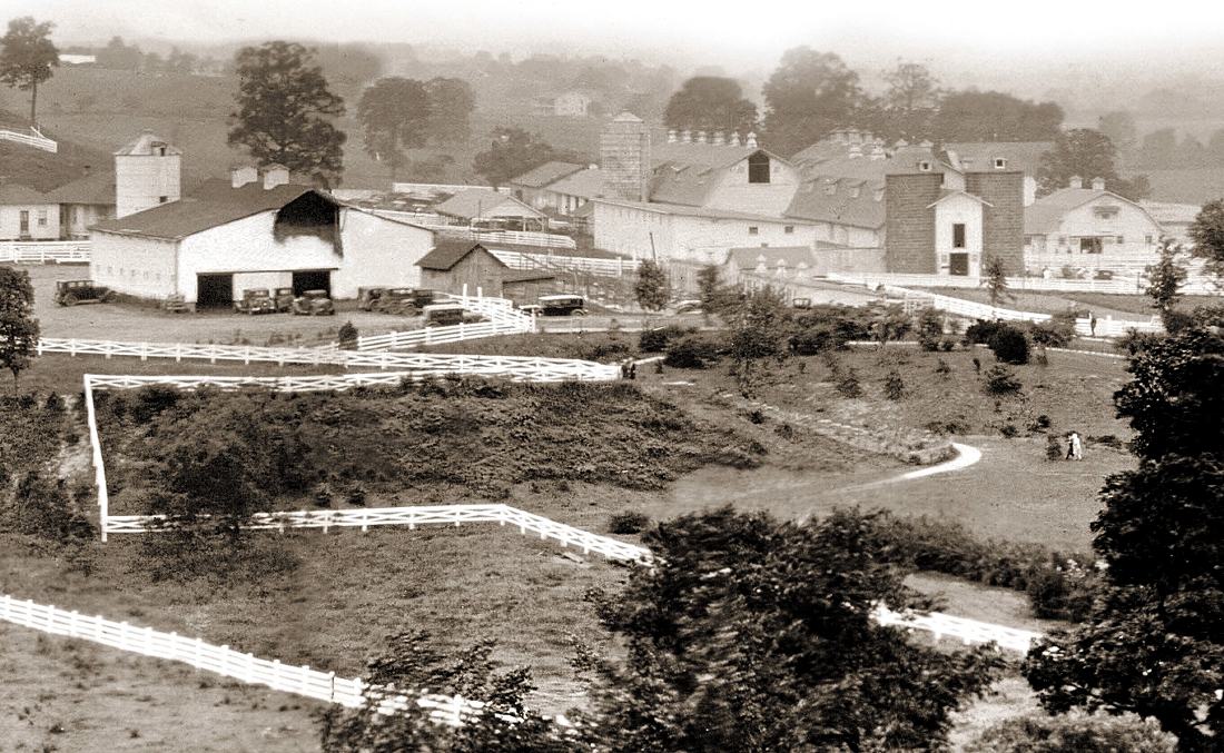 Mount Vernon Dairy