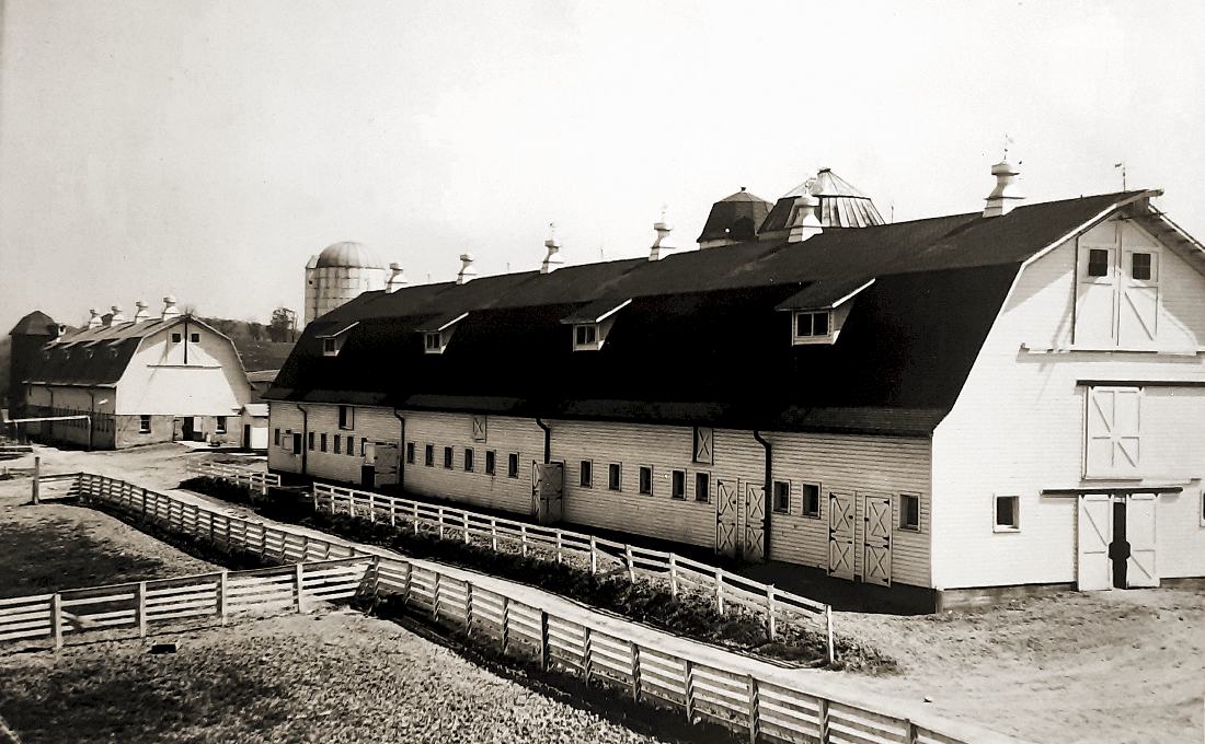 Mount Vernon Farms