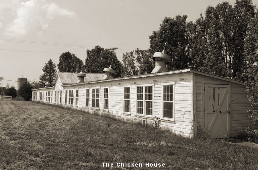 Mount Vernon Farm