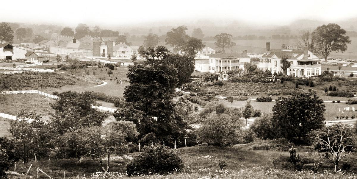 Mount Vernon Dairy