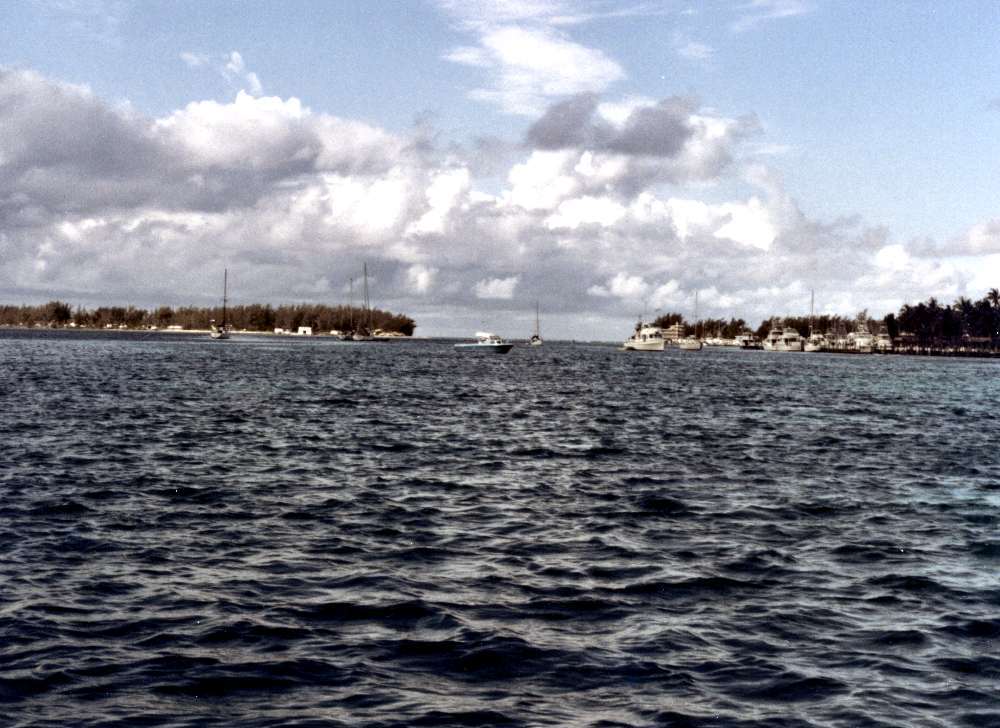 Bimini
