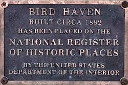 Bird Haven